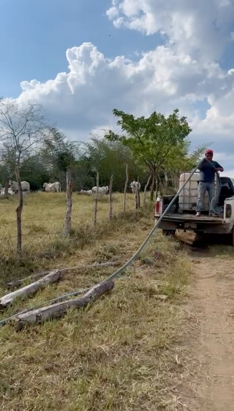 Sequía en Rancho La Marina, hay que dotar de agua a todos los animales para que tengan un desarrollo pleno. Empieza a escasear el vital líquido y hay que llevarlo de otros lugares